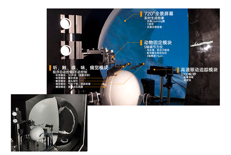 虚拟现实系统1.png
