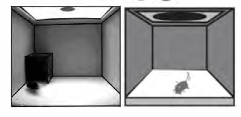 虚拟现实系统2.png