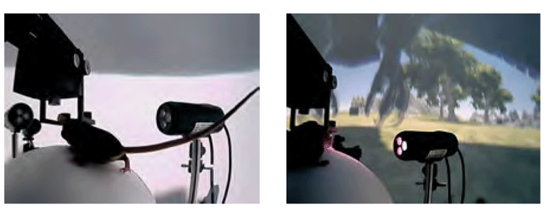 虚拟现实系统4.png