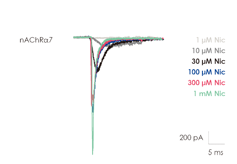 8.png